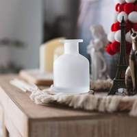 Désodorisant de luxe Bâton de rotin écologique givré Diffuseur de roseau en verre Bouteille avec boîte d'emballage
