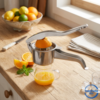 Presse-agrumes manuel en acier inoxydable argenté pour citrons et agrumes, écologique et personnalisable, pour fruits et légumes