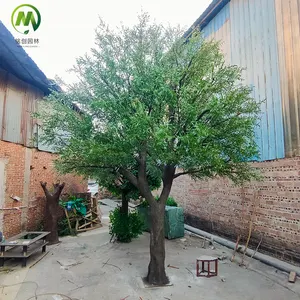 Customized Big Artificial Olive Tree Realistic Large Fiberglass Trunk Faux Olive Tree For Indoor Or Outdoor Decoration