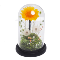 Pissenlit et tournesol stabilisés sous cloche en verre, fleurs éternelles faites à la main pour la fête des Mères et la Saint-Valentin