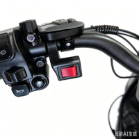 Scooter Eléctrico Todoterreno para Adultos, Neumático Grueso de 20 Pulgadas, Homologado para Carretera EEC, con Suspensión KCES018