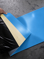 Rouleau de membrane TPO avancée avec adhésif butyle appliqué en usine pour les applications d'étanchéité de toitures