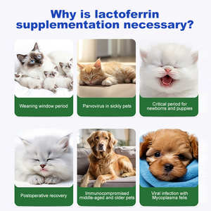 Vente directe d'usine, granulés lyophilisés <span class=keywords><strong>de</strong></span> lactoferrine <span class=keywords><strong>pour</strong></span> animaux <span class=keywords><strong>de</strong></span> compagnie, complément alimentaire qui peut améliorer le système immunitaire des chats et des chiens - Product Image 2