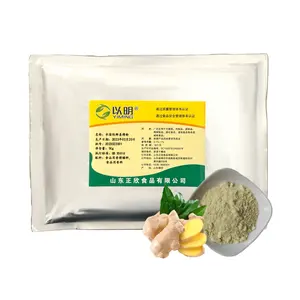 High Quality Adjunct Spice Fresh Ginger Extract Water Soluble Ginger Powder