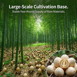 Extracto Herbal de Dictyophora (Hongo del Huevo) y Bambú en Polvo, Polisacárido, Polipéptido, Envasado al Vacío, Grado Alimenticio, Alimento Saludable - Product Image 2