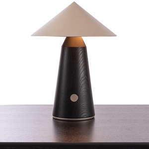 Lampe de table minimaliste moderne, source de lumière LED, commande par interrupteur, pour salon, chambre à coucher, décoration de la maison - Product Image 5