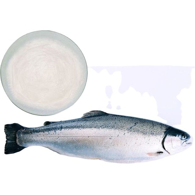 Hot Selling Fish Maw Collagen Peptide Protein Supplements Fish Collagen Peptide Powder