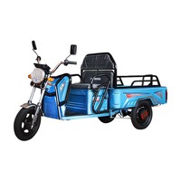 Tricycles électriques à 3 roues EEC pour le transport de marchandises, vendus en gros à bas prix – Camion de fret