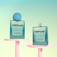 Bouteilles carrées élégantes de 100ml avec fermeture en liège Diffuseurs de parfum de maison avec logo personnalisé Emballage sécurisé et bocaux de sérigraphie