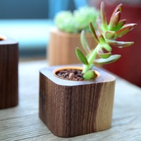 Pot Tanaman Sukulen Kayu Mini, Pot Kaktus Kayu Walnut Beech Solid, Pot Bunga Dekorasi Meja, Logo Custom, Grosir OEM