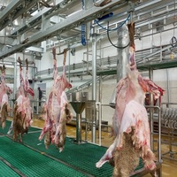 Ligne d'abattage de moutons halal haute capacité pour abattoir, équipement de transformation de viande de chèvre, agneau et mouton