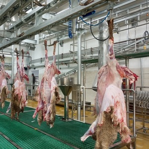Ligne d'abattage de moutons halal haute capacité pour abattoir, équipement de transformation de viande de chèvre, agneau et mouton - Product Image 3