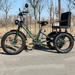 Tricycle électrique à 3 roues pas cher de 24 pouces 600W 750W avec siège passager arrière et double amortisseur Triciclo Electrico De Litio - Product Image 6