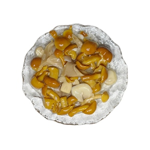 Champiñones mixtos de alta calidad en salmuera conservados con agua salada Champiñón fresco, <span class=keywords><strong>Nameko</strong></span>, ostra - Product Image 3