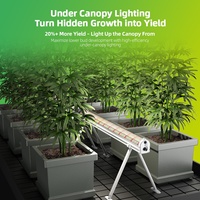 2025 nouvelle agriculture d'intérieur 100W 2.8 Umol/J 15Ft spectre complet Ip65 sous auvent Led élèvent la lumière 120W 150W pour plante