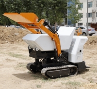 Maßgefertigter 2-Jahres-Garantie-Raupenlader mit Briggs&Stratton-Motor, Eaton-Hydraulikpumpe und Gummiketten für Stabile Bergauffahrt