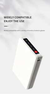 Mini Power Bank Portatile Ricaricabile Invernale 3.7V 5V 7.4V 2500 mAh 3000 mAh <span class=keywords><strong>6000</strong></span> mAh per Calzini Termici - Product Image 3