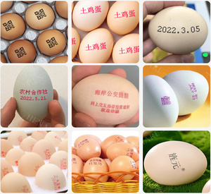 Trứng di động máy dập trứng khay máy in 6 đầu máy in phun coders trứng ngày máy in - Product Image 6