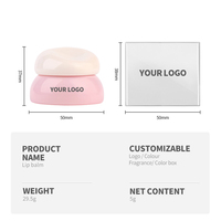 Baume à Lèvres Teinté Vegan Nourrissant Bio Rose Soin des Lèvres Soin Hydratant Beauté Logo Personnalisé de Luxe