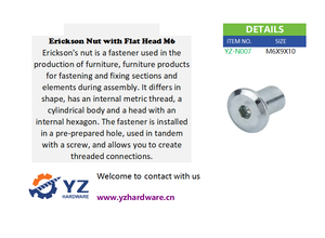Écrou <span class=keywords><strong>Erickson</strong></span> en acier au carbone YUANZHI à tête plate M6 - Product Image 4