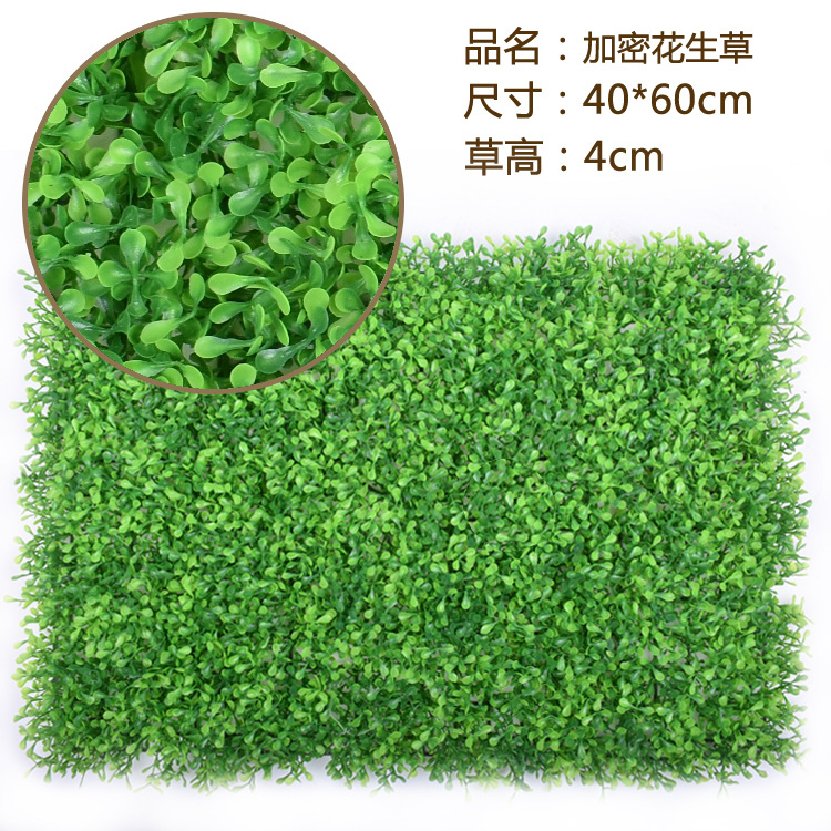 สนามหญ้าถั่วลิสงเข้ารหัส