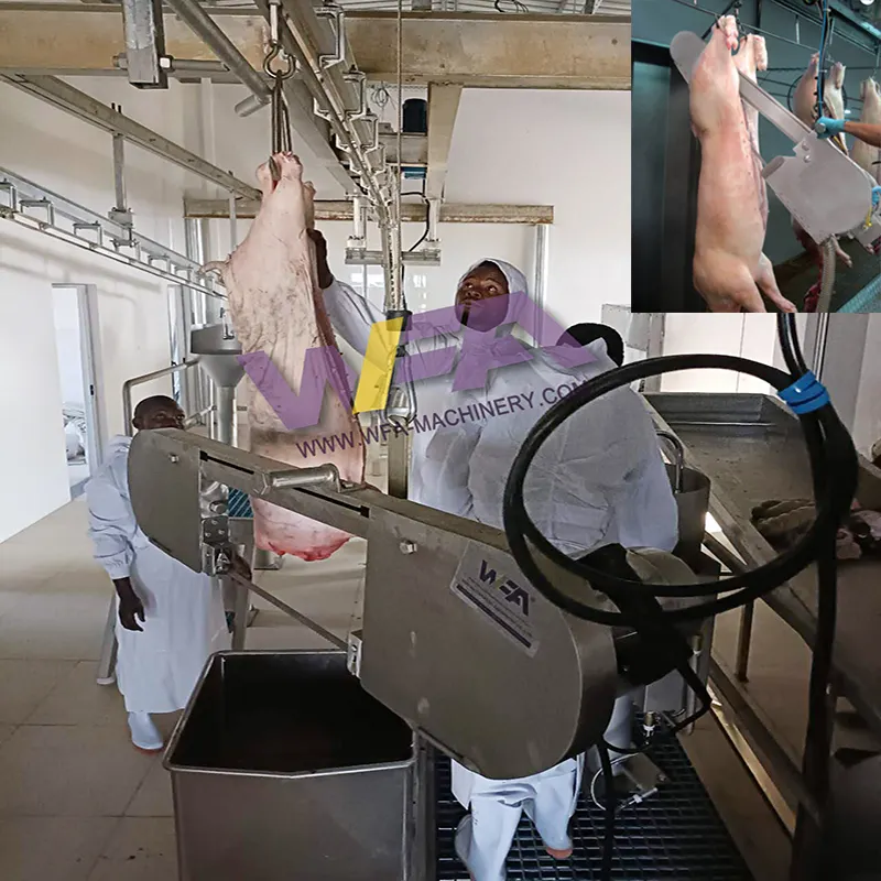 Fabrieksprijs Vleesprocessinig Machines Slachthuis Gereedschap Varken Splitszaag Voor Slachtslagerij