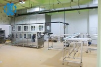 Armoire de Fermentation Professionnelle Intermédiaire avec Fenêtres Transparentes en Acier Inoxydable 304 pour PLC