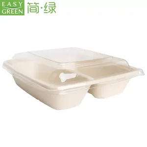 Contenitori per alimenti usa e getta per microonde di buona qualità verde facile Bento Box usa e getta biodegradabile imballaggio alimentare ecologico