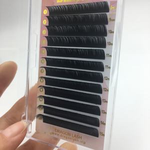 Dragon Private Label Bandeja de pestañas de volumen de Cachemira de alta calidad 0,07 0,05 0,03 Extensiones de pestañas Bandeja de pestañas personalizada para entrenamiento de pestañas - Product Image 3