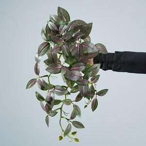 ต้นไม้เทียมตามใบ <span class=keywords><strong>fittonia</strong></span> แขวนอยู่ที่บ้านสวนสำหรับสำนักงานที่หลงทางการแขวนใบไม้สีเขียวไม้เลื้อยเทียม - Product Image 1