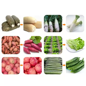 Genaue Temperatur regelung Gemüse waschmaschinen/handels übliche Luftblasen waschmaschine - Product Image 6