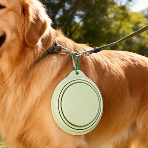 Bouteille d'eau pliable pour animaux de compagnie, distributeur d'eau portable pour chien, bouteille remplaçable, petites et grandes tailles - Product Image 2