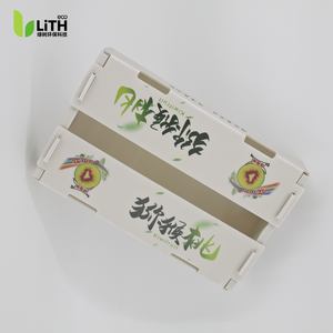 Maßgefertigte Hohlblech-<span class=keywords><strong>Kiwi</strong></span>-Box - Umweltfreundliche Kunststoff-Versandbox für Frische <span class=keywords><strong>Kiwi</strong></span>-Frucht, Futter- und Düngerschutz - Product Image 2