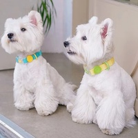 Colliers pour chiens imperméables couleur bonbon, étiquettes porte-clés, faciles à nettoyer, robustes, résistants à l'usure, mini RFID NFC 213 215 216, format carte de visite, pour hôtel