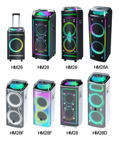 Quantité minimale de commande bas 8 pouces double sans fil pour haut-parleurs portables Bluetooth avec lumières RVB Microphone carré danse Audio carte enfichable en plastique