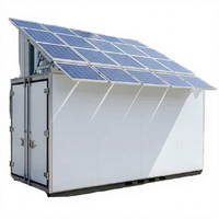 Cámara Frigorífica Solar Independiente de 40 pies con Compresor Daikin para Almacenamiento Comercial de Alimentos