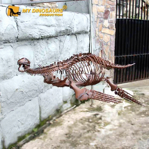 MY DINO DS-152 Exposition de dinosaures, squelette de dinosaure, petit plesiosaure - Product Image 1