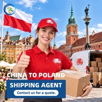 Transitaire Aérien Porte-à-Porte DDP Agent Maritime Chine-Pologne Service Logistique Professionnel Air+Express