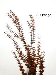 Vente en gros <span class=keywords><strong>bouquet</strong></span> de fleurs à fleurs vert givré orange beige givré bleu olive eucalyptus conservé pour l'artisanat de <span class=keywords><strong>mariage</strong></span> <span class=keywords><strong>bouquet</strong></span> séché - Product Image 5