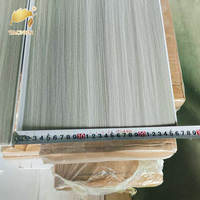 Panel de Techo de PVC Impermeable, Decorativo, Encastrable, Techo Falso Suspendido, Tira de PVC Plástica Extensible para Techo