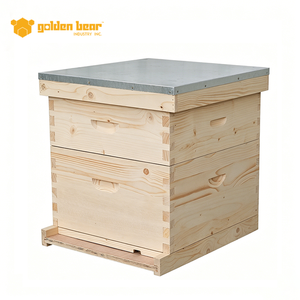 Caja de abejas de madera Golden Bear China Fir Langstroth con junta de cola de milano para apicultura - Product Image 5