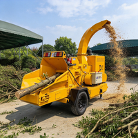 Broyeur de bois portable pour les entreprises de location et les entrepreneurs