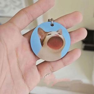 Nouveaux designs personnalisés, porte-clés 3D lenticulaire à double image imprimé en 3D, en acrylique, pour la vente en gros - Product Image 5