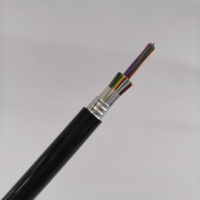 Câble de télécommunication blindé multiconducteur Yaogu GYTA53 en cuivre avec blindage APL, bande d'acier blindée et gaine HDPE, pour enfouissement direct