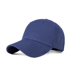 Toptan özel Logo boş logo Snap Back Cap lüks Vintage süet şoför şapkası - Product Image 5