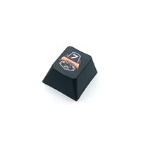 Tecsee Personnalisé 1U R4 OEM/XDA/Cherry Keycaps Clavier Mécanique Gaming Unique DIY Keycaps