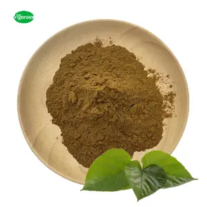 High quality GMO free 1%-10% 1-deoxynojirimycin Mulberry leaf Extract powder