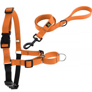 Set tali dan kekang anjing poliester Logo kustom kualitas tinggi grosir tali hewan peliharaan pola timah kucing peliharaan tahan air - Product Image 4