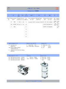 ปั๊มไฮดรอลิกเกียร์ bibo CBL1A-L-P01 20-40 มล./รอบ 2500 รอบต่อนาที ปั๊มน้ำมันเกียร์ 160-200 บาร์ 0.5 - Product Image 2