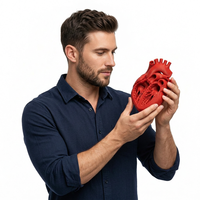 Modèle de cœur anatomique imprimé en 3D FDM en PLA pour la formation médicale, la recherche et le développement, l'éducation, prototype personnalisé OEM